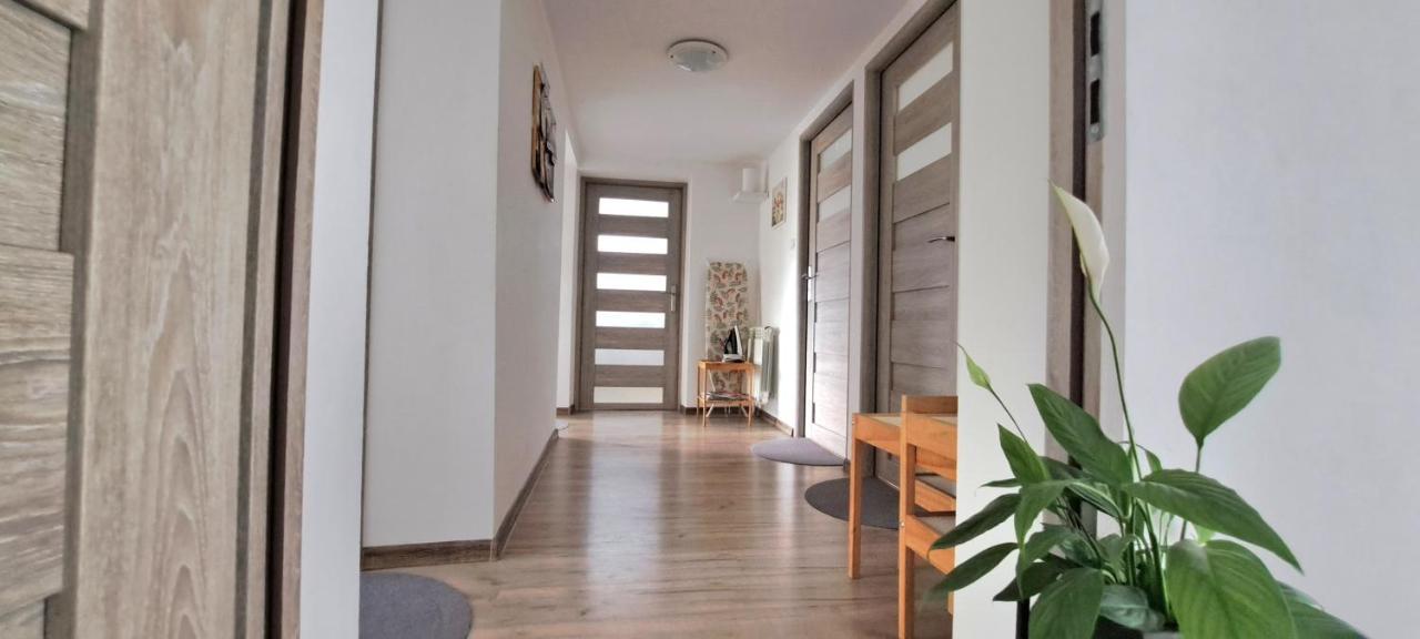 Pokoje I Apartamenty Na Szkolnej Затор Екстериор снимка